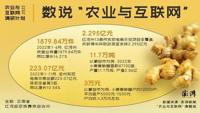 淘寶拼多多熱銷姜貨源拿貨是真的嗎，淘寶拼多多熱銷姜貨源拿貨是真的嗎安全嗎？